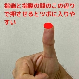 指端と指腹の間