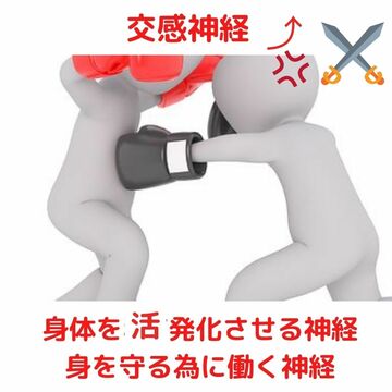 指圧　マッサージ　大阪