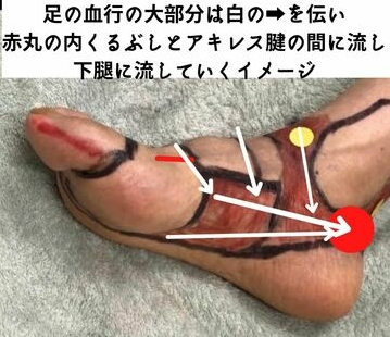 足まわりの血行