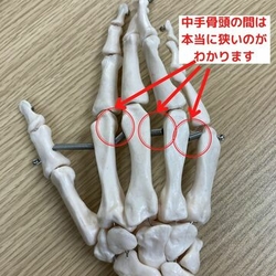 　マッサージスクール　ハンドマッサージ