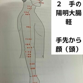 指圧　マッサージ　経絡