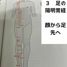 指圧　マッサージ　経絡