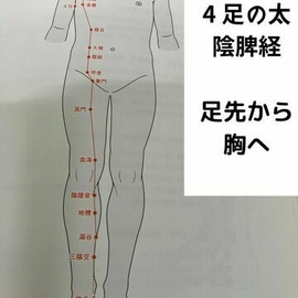 指圧　マッサージ　経絡