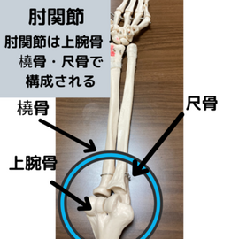 指圧　マッサージ　肘関節