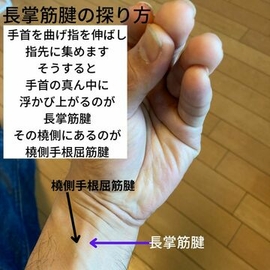 経絡　指圧マッサージ