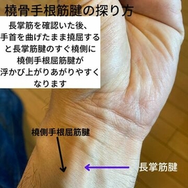 経絡　指圧マッサージ