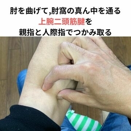 経絡　指圧マッサージ