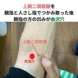 経絡　指圧マッサージ