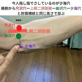 経絡　指圧マッサージ
