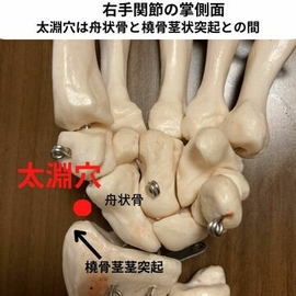 経絡　指圧マッサージ