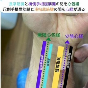 経絡　指圧マッサージ