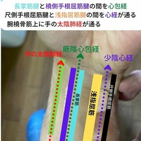 経絡 指圧マッサージ