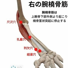 経絡 指圧マッサージ