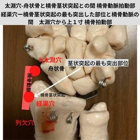 経絡　指圧マッサージ