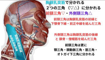 整体スクール テキスト