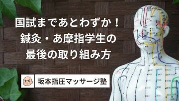 国試まであとわずか！鍼灸・あ摩指学生の最後の取り組み方