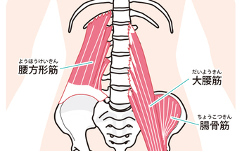 腰方形筋