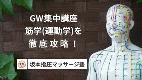 ゴールデンウイーク集中講座！筋学（運動学）を徹底攻略！