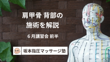 肩甲骨背部の施術