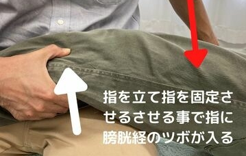 マッサージ　膀胱系