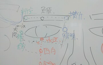 顔の指圧と経絡経穴