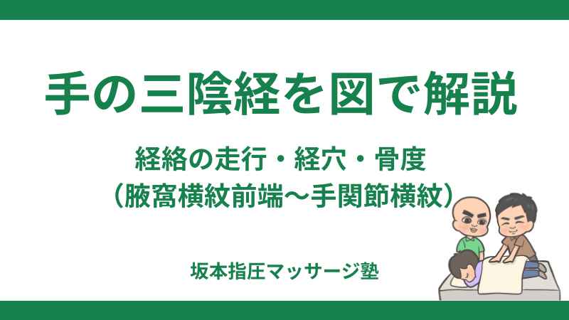 手の三陰経上腕編
