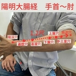 手首・前腕・肘の三陽経の解説