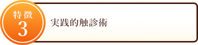 実践的触診術（解剖学と経絡経穴学）