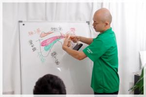解剖学　整体